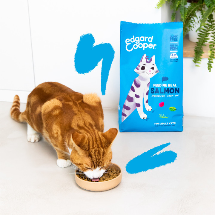 Edgard & Cooper, pienso sin cereales con salmón fresco para gatos adultos