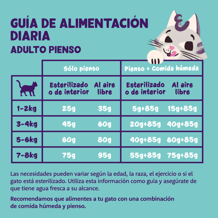 Edgard & Cooper, pienso sin cereales con salmón fresco para gatos adultos