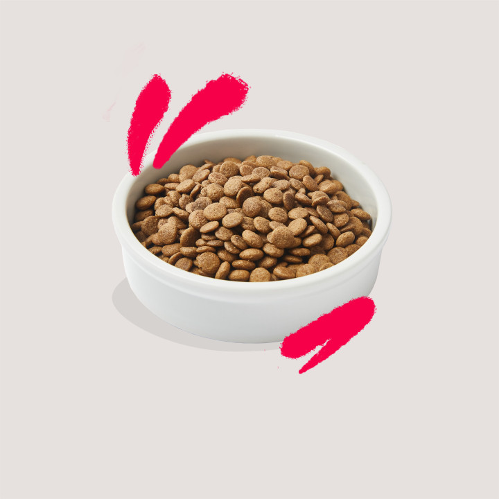 Edgard & Cooper, pienso sin cereales con pollo y pavo frescos para gatos senior