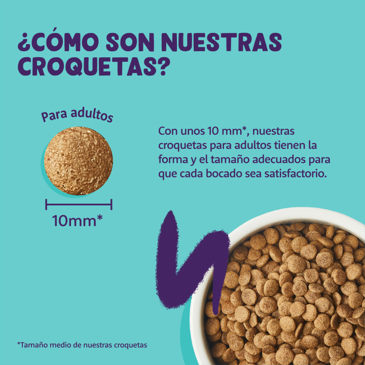 Edgard & Cooper, pienso sin cereales con pollo fresco para gato adultos