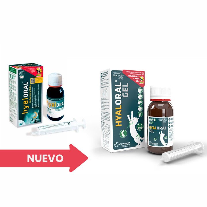 Hyaloral Perros Cachorros y Gatos  - Kompymascotas