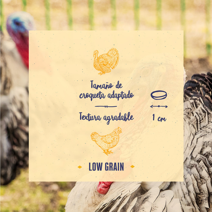 Boske Adult Mini Chicken & Torkey Low Grain - Kompymascotas