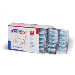 Condrovet Force HA Gatos, Suplementos para gatos - Kompymascotas