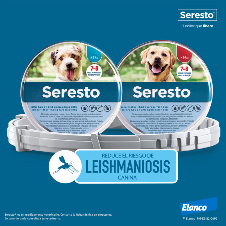 Seresto Collar antiparasitario para perros - Kompymascotas
