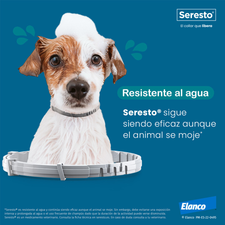 Seresto Collar antiparasitario para perros - Kompymascotas