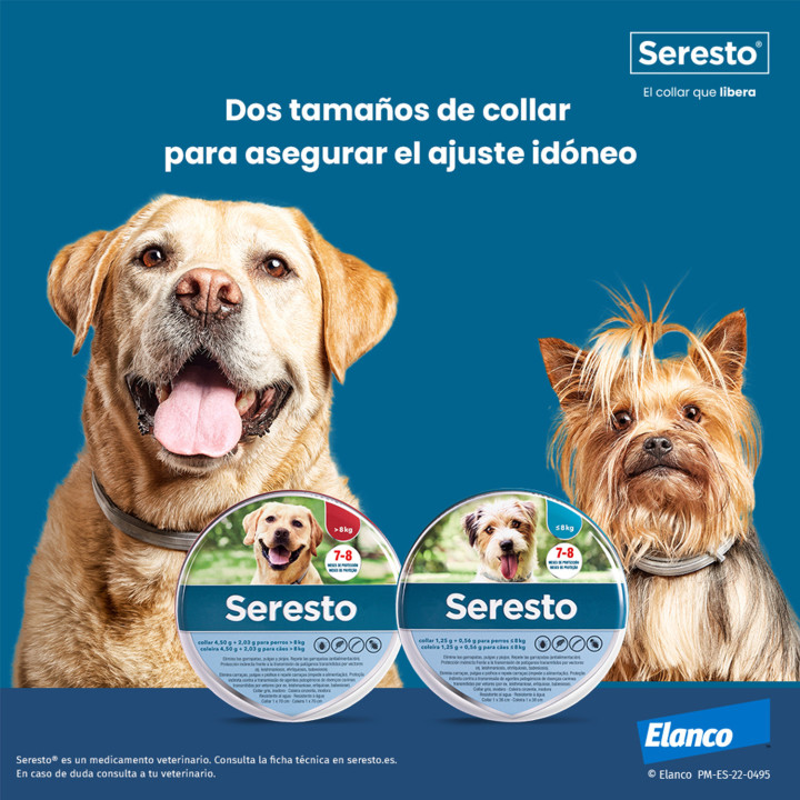 Seresto Collar antiparasitario para perros - Kompymascotas