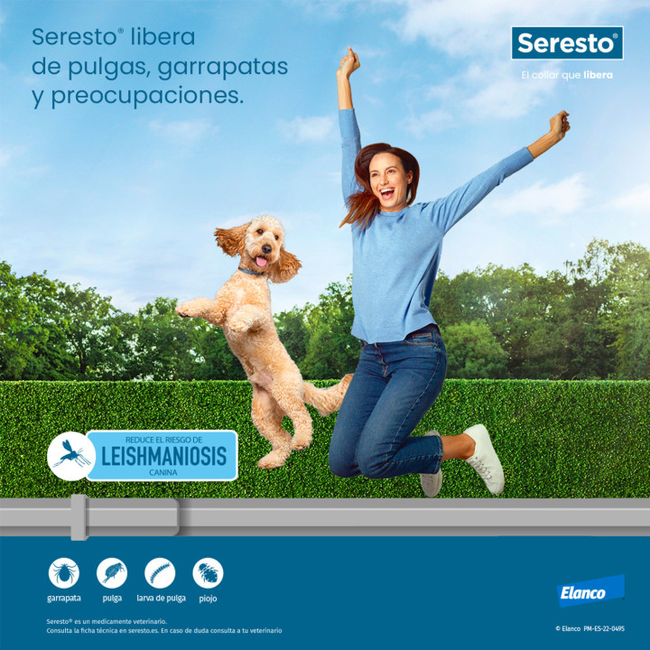 Seresto Collar antiparasitario para perros - Kompymascotas