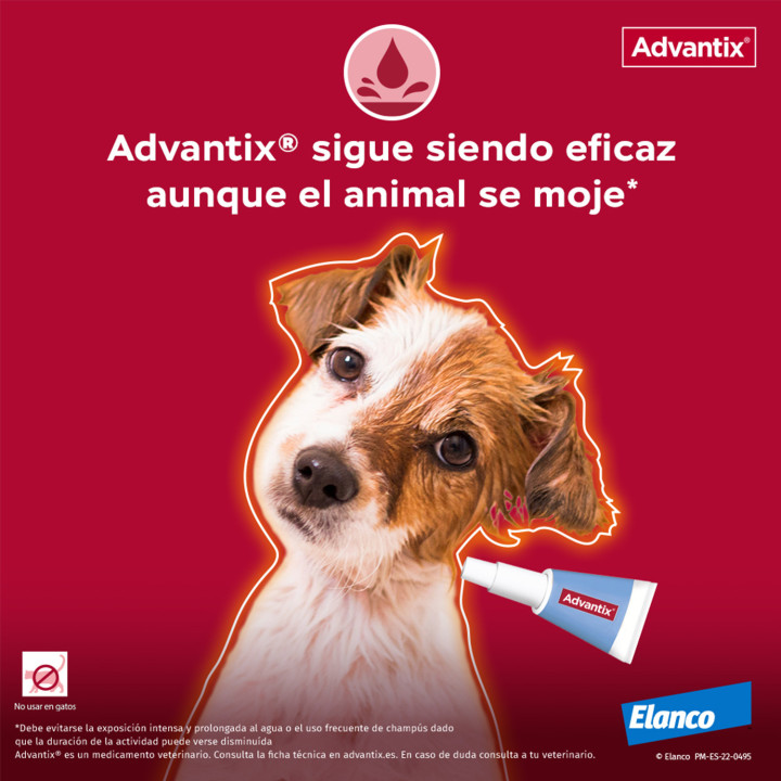 Advantix 4 unidades, Pipetas para perros - Kompymascotas