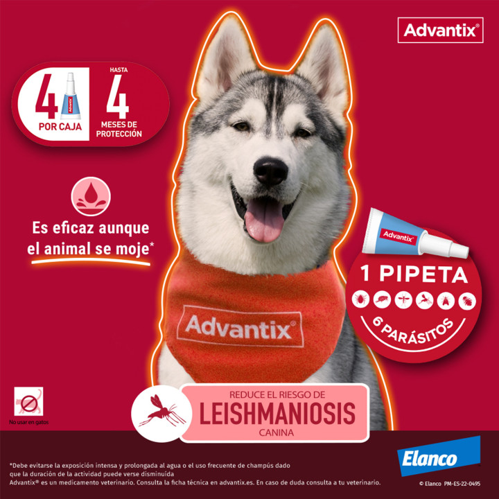 Advantix 4 unidades, Pipetas para perros - Kompymascotas