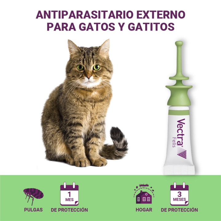 Vectra Felis Pipeta antiparasitaria para gatos - Kompymascotas