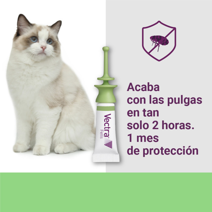 Vectra Felis Pipeta antiparasitaria para gatos - Kompymascotas