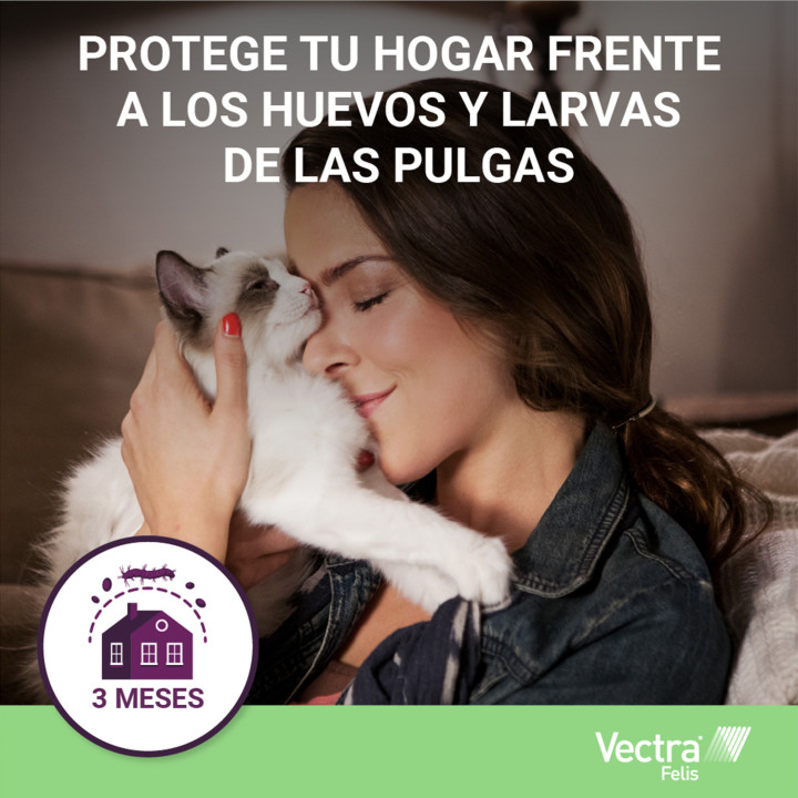 Vectra Felis Pipeta antiparasitaria para gatos - Kompymascotas