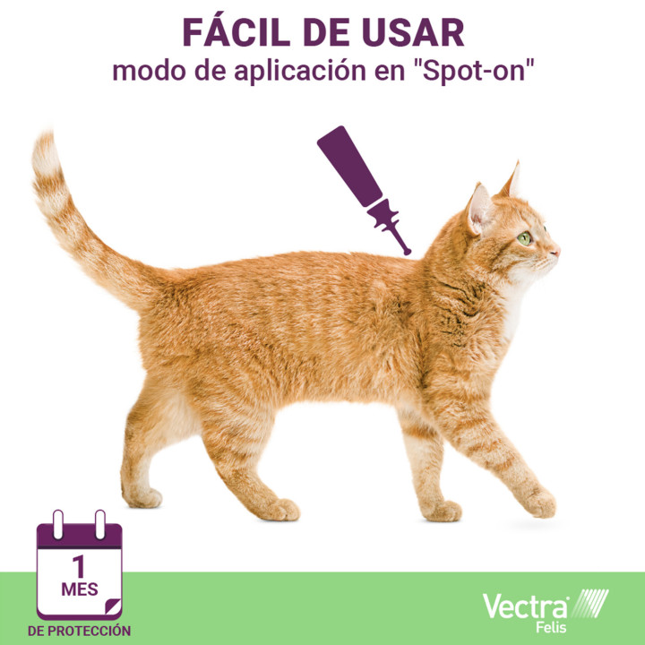 Vectra Felis Pipeta antiparasitaria para gatos - Kompymascotas