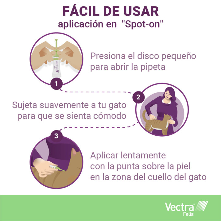 Vectra Felis Pipeta antiparasitaria para gatos - Kompymascotas