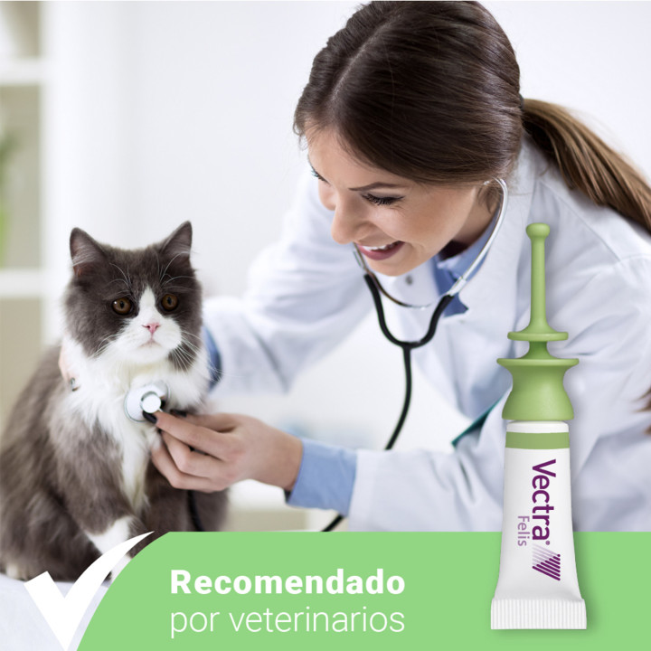 Vectra Felis Pipeta antiparasitaria para gatos - Kompymascotas