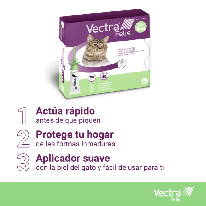 Vectra Felis Pipeta antiparasitaria para gatos - Kompymascotas