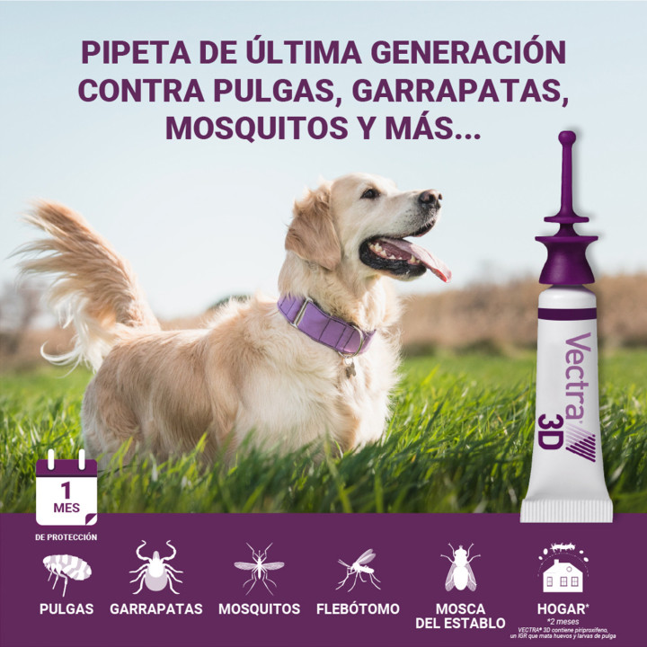 Pipeta para perros contra pulgas, garrapatas, flobotomos y mosquito
