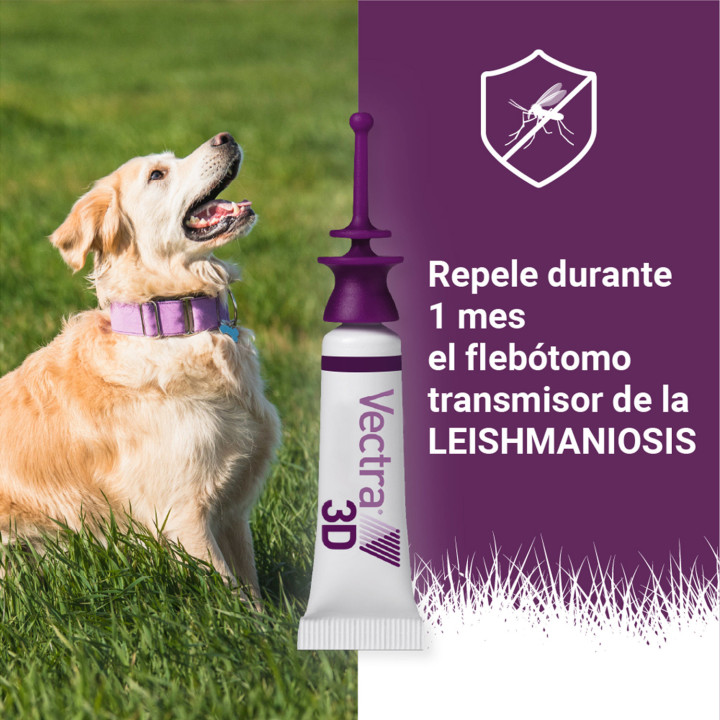 Pipeta para perros contra pulgas, garrapatas, flobotomos y mosquito