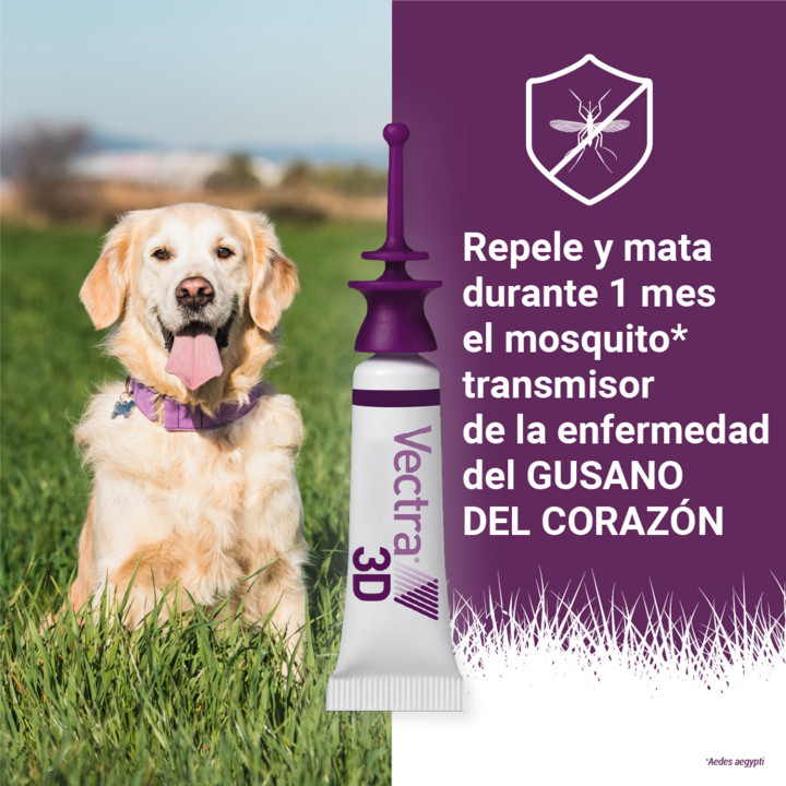 Pipeta para perros contra pulgas, garrapatas, flobotomos y mosquito