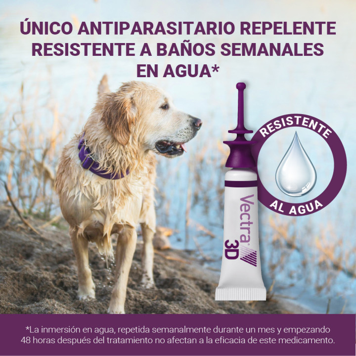 Pipeta para perros contra pulgas, garrapatas, flobotomos y mosquito