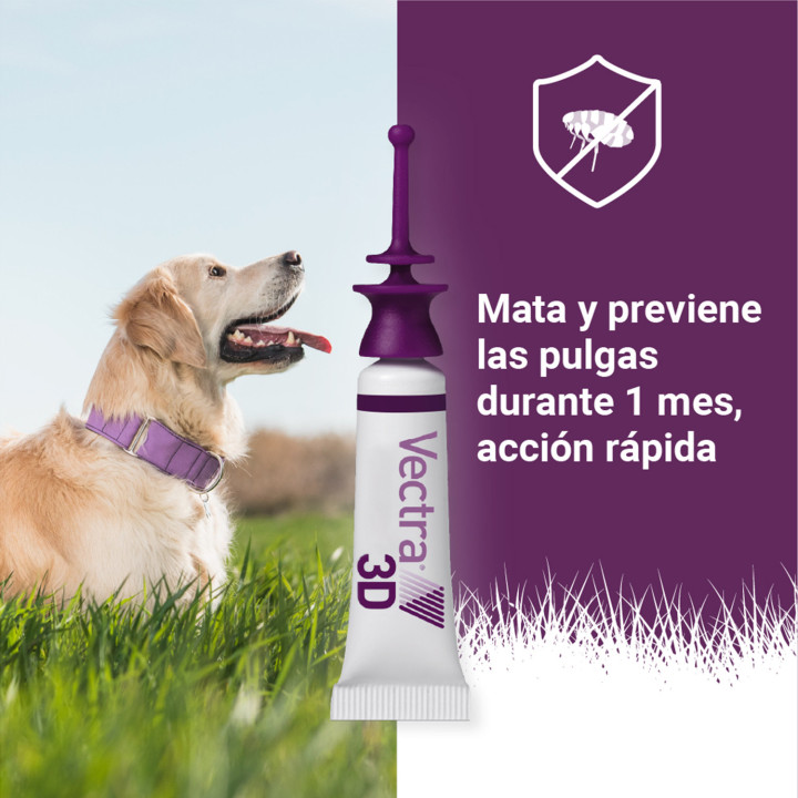 Pipeta para perros contra pulgas, garrapatas, flobotomos y mosquito