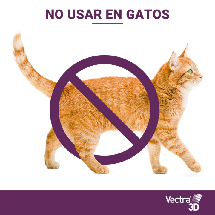 Pipeta para perros contra pulgas, garrapatas, flobotomos y mosquito