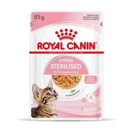 Royal Canin Kitten Sterilised gelatina - Kompymascotas