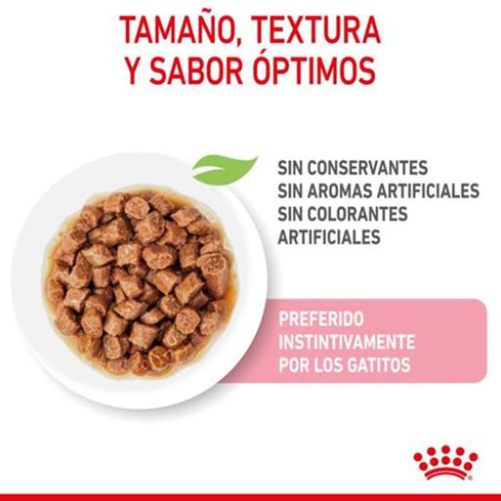 Royal Canin Kitten Sterilised - Kompymascotas