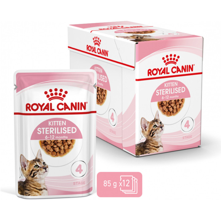 Royal Canin Kitten Sterilised - Kompymascotas