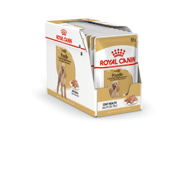 Royal Canin Poodle Adult Dog Alimento húmedo
