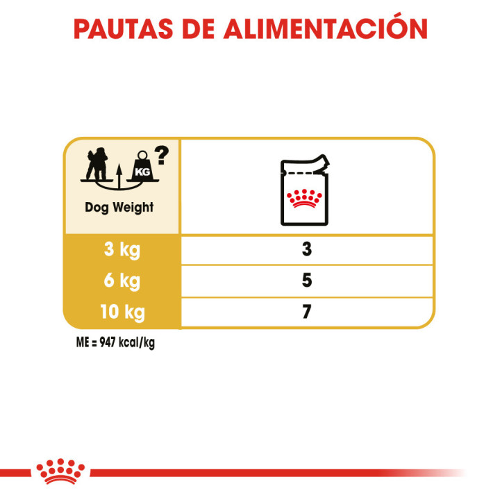 Royal Canin Poodle Adult Dog Alimento húmedo