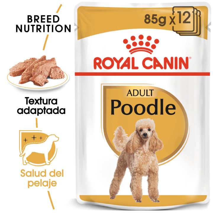 Royal Canin Poodle Adult Dog Alimento húmedo