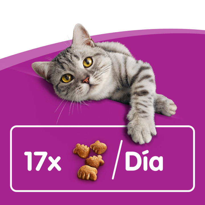 Whiskas Dentabits encías y dientes, golosinas para gato - Kompymascotas