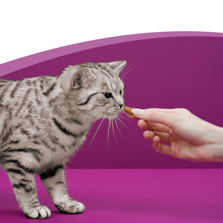 Whiskas Dentabits encías y dientes, golosinas para gato - Kompymascotas