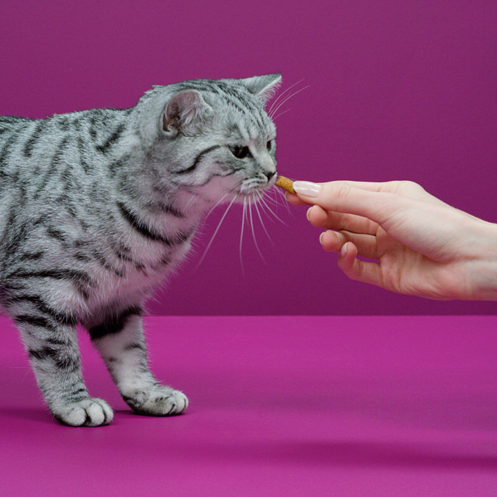 Snacks Whiskas Temptations con sabor salmón - Kompymascotas