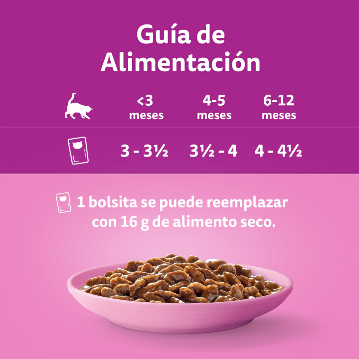 Whiskas para Gatos Junior Selección de Carnes 