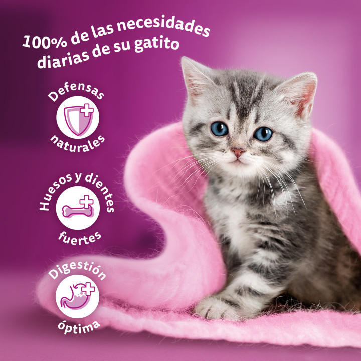 Whiskas para Gatos Junior Selección de Carnes 