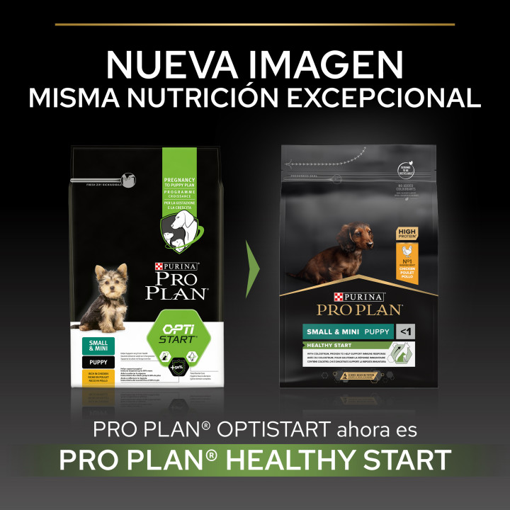 Purina Pro Plan Small & Mini Puppy Pienso para perros - Kompymascotas