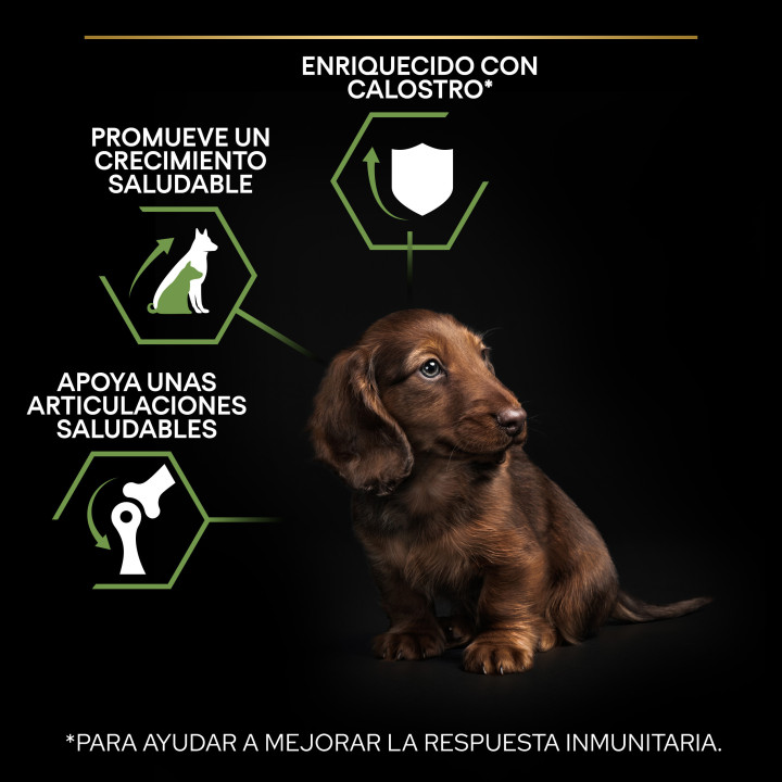 Purina Pro Plan Small & Mini Puppy Pienso para perros - Kompymascotas