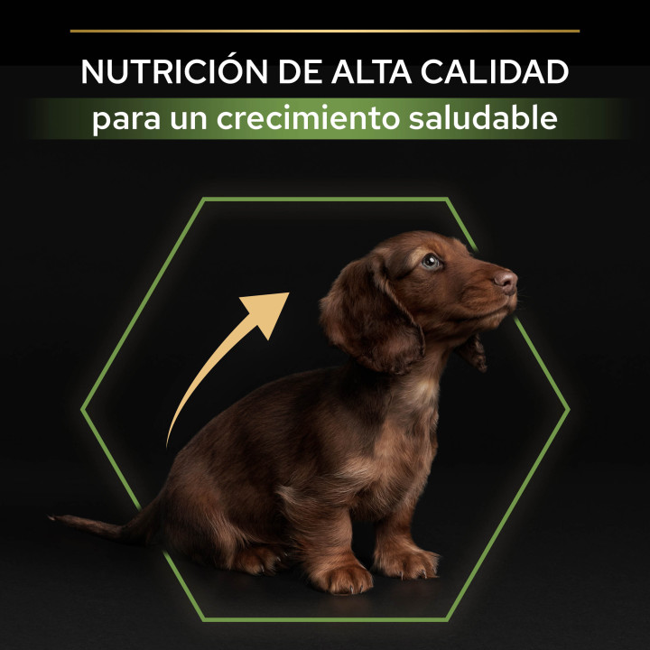 Purina Pro Plan Small & Mini Puppy Pienso para perros - Kompymascotas