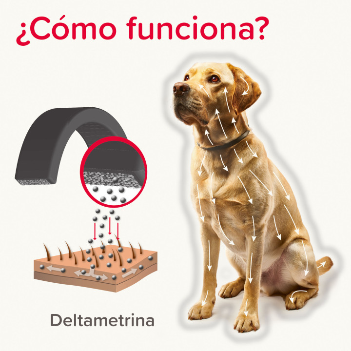 Canishield Collar antiparasitario Triple Protección para Perros 65 
