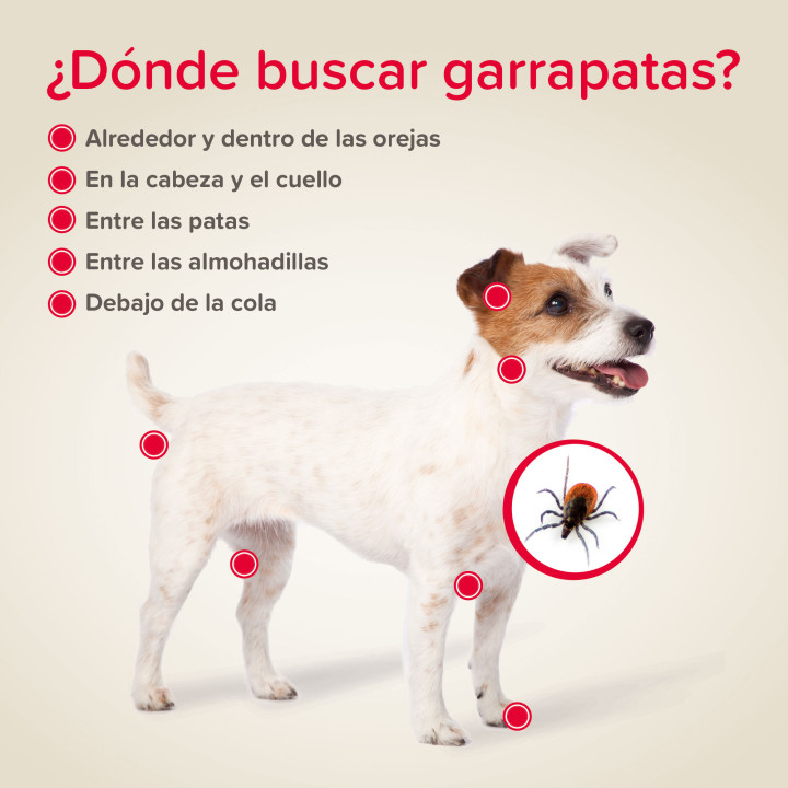 Canishield Collar antiparasitario Triple Protección para Perros