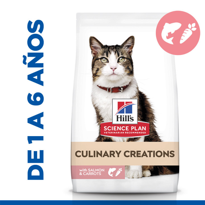 Hill´s Science Plan Culinary Creations Alimento seco para gatos adultos con salmón y zanahorias