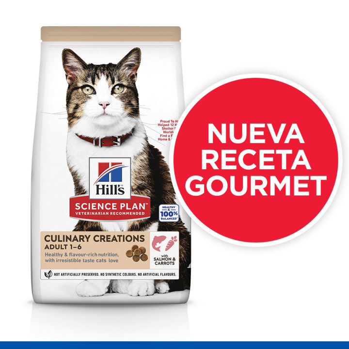 Hill´s Science Plan Culinary Creations Alimento seco para gatos adultos con salmón y zanahorias