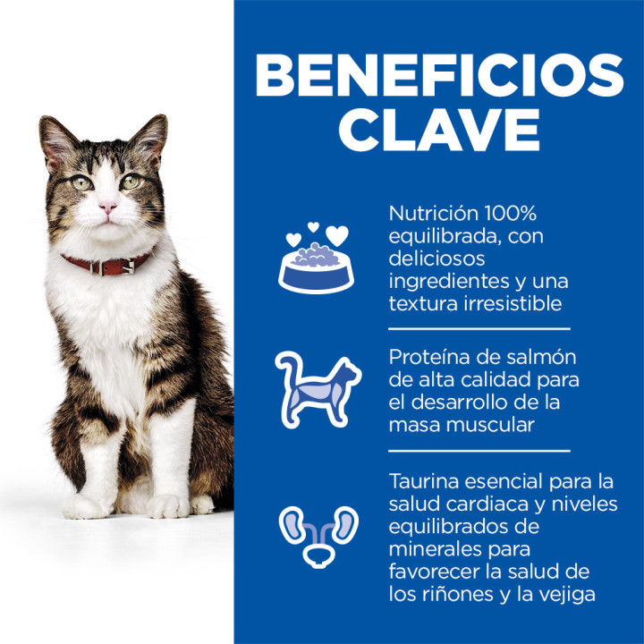 Hill´s Science Plan Culinary Creations Alimento seco para gatos adultos con salmón y zanahorias