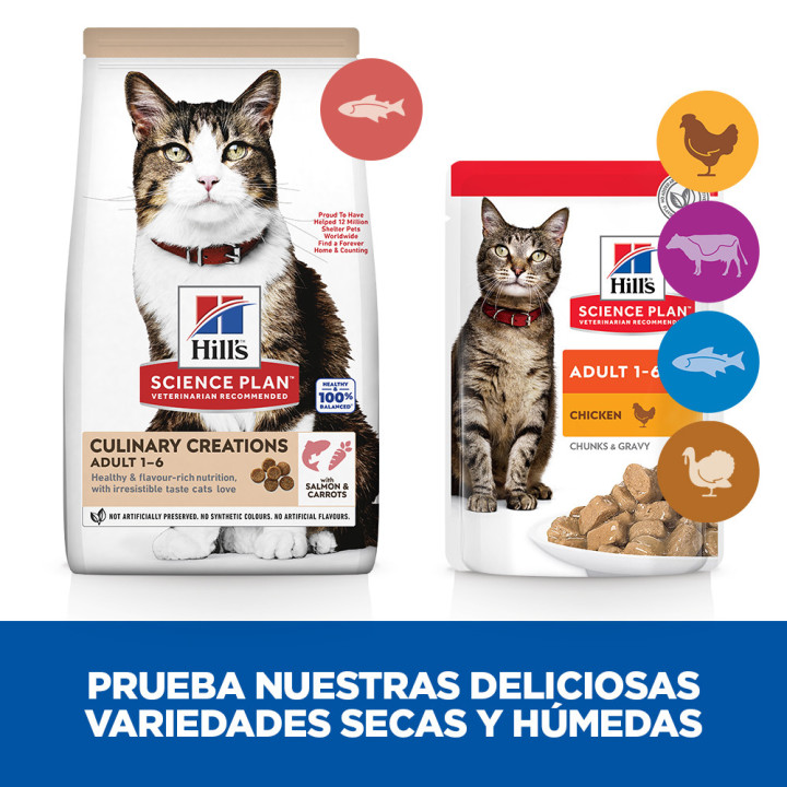 Hill´s Science Plan Culinary Creations Alimento seco para gatos adultos con salmón y zanahorias