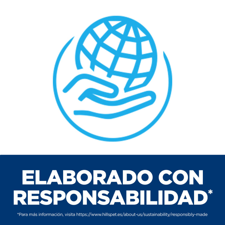 Hill´s Science Plan Culinary Creations Alimento seco para gatos adultos con salmón y zanahorias