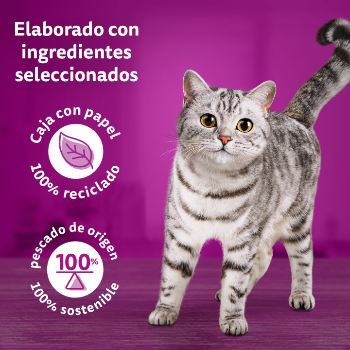 Whiskas Tasty Mix Comida Húmeda para Gatos Adultos Selección del Chef en Salsa 