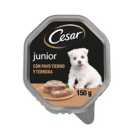 Cesar Comida Húmeda para Perros Cachorros Sabor Pavo y Ternera Tarrina 