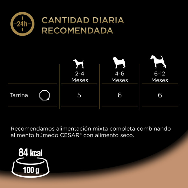 Cesar Comida Húmeda para Perros Cachorros Sabor Pavo y Ternera Tarrina 
